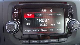 FIAT 500L usata 94