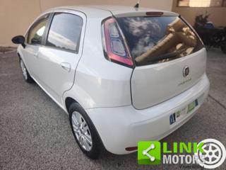FIAT Punto usata 24
