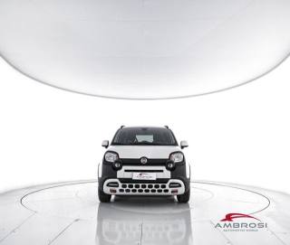 FIAT Panda usata 4