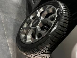 FIAT 500L usata, con Cronologia tagliandi