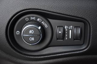 JEEP Renegade usata, con Vetri oscurati