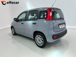 FIAT Panda usata, con Alzacristalli elettrici