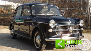FIAT 1100 usata 62