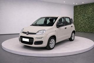FIAT Panda III 1.2 8v 69Cv Easy