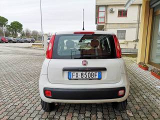 FIAT Panda usata, con Alzacristalli elettrici