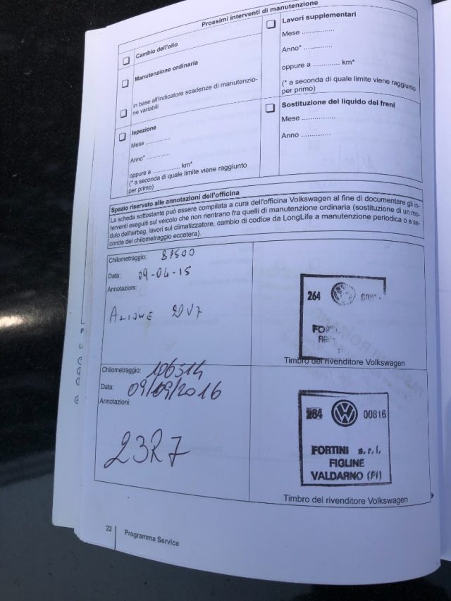 VOLKSWAGEN Polo usata 22