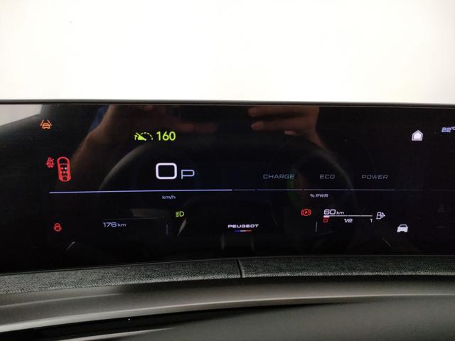 PEUGEOT 3008 usata, con Vetri oscurati