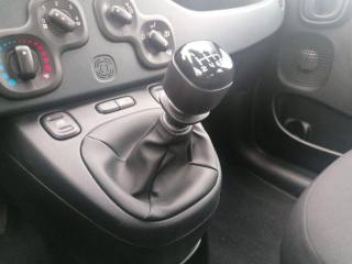 FIAT Panda usata 16