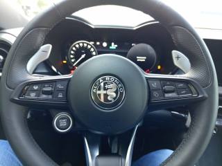 ALFA ROMEO Tonale usata, con Specchietti laterali elettrici