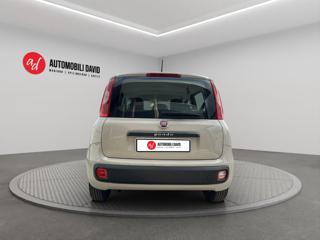 FIAT Panda usata, con Antifurto