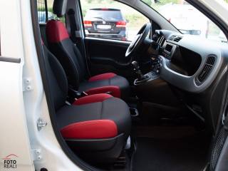 FIAT Panda usata 12