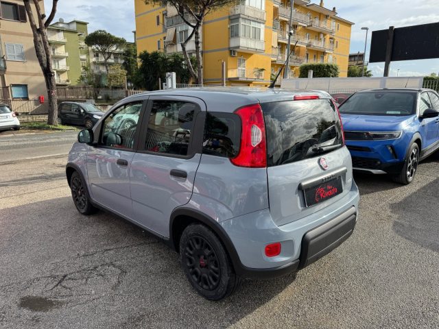 FIAT Panda usata, con Fendinebbia