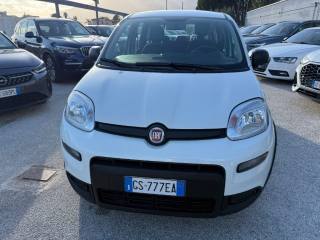 FIAT Panda usata, con Airbag Passeggero