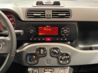FIAT Panda usata, con Airbag testa