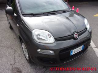 FIAT Panda usata 13
