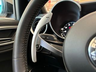 ALFA ROMEO Giulia usata, con Immobilizzatore elettronico