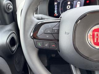 FIAT Panda Cross usata, con Park Distance Control