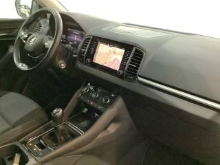 SKODA Karoq usata, con Fendinebbia
