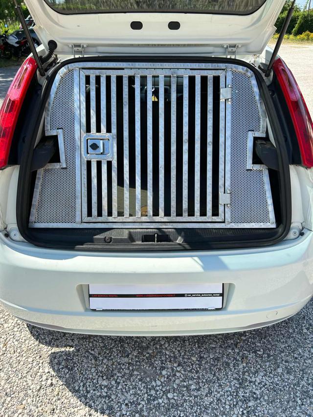 FIAT Grande Punto usata 8