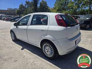 FIAT Grande Punto usata, con Servosterzo