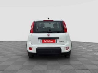 FIAT Panda usata 3
