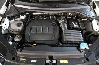 VOLKSWAGEN Tiguan usata, con Chiusura centralizzata