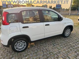 FIAT Panda usata, con Antifurto