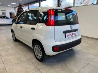 FIAT Panda usata, con Climatizzatore