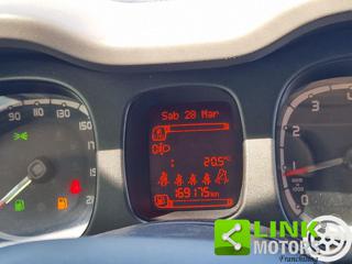 FIAT Panda usata 16