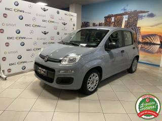 FIAT Panda 1.2 Easy 69cv Euro6