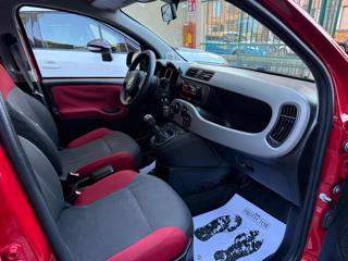 FIAT Panda usata 8