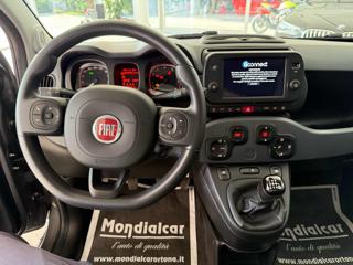 FIAT Panda usata, con Airbag testa