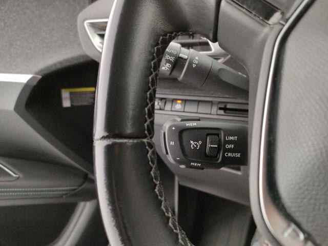 PEUGEOT 3008 usata, con ESP
