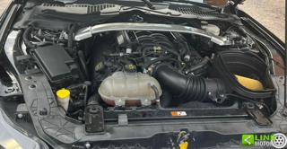 FORD Mustang usata, con Fendinebbia