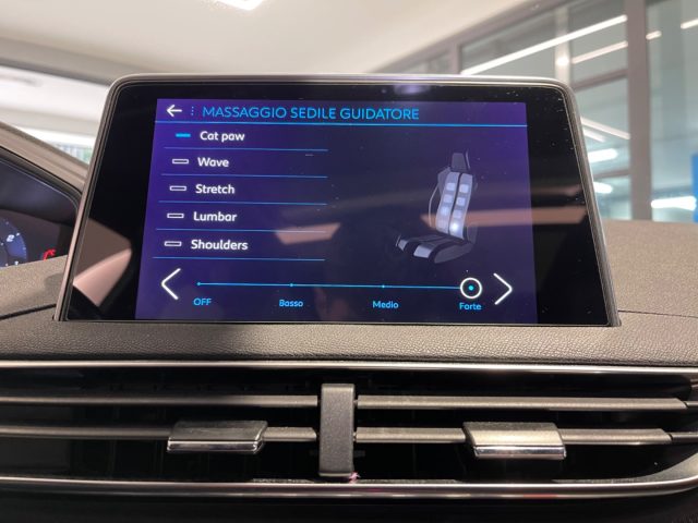 PEUGEOT 3008 usata, con Volante in pelle
