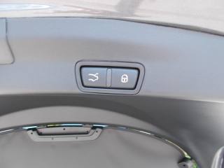 ALFA ROMEO Stelvio usata, con Fendinebbia