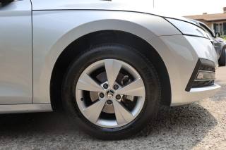 SKODA Octavia usata 149