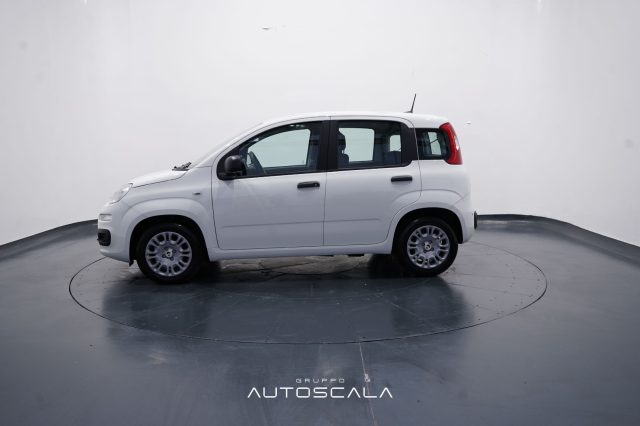 FIAT New Panda usata, con Airbag Passeggero