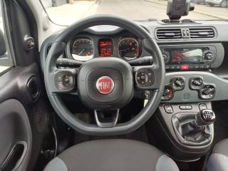 FIAT Panda usata, con Sedile posteriore sdoppiato