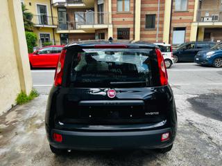 FIAT Panda usata, con Chiusura centralizzata