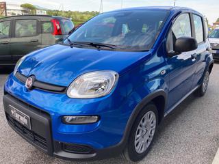 FIAT Panda usata, con Boardcomputer
