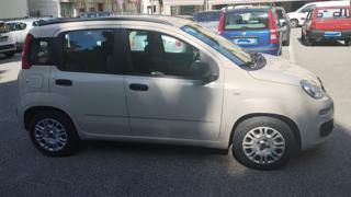 FIAT Panda usata, con Fendinebbia