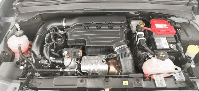 JEEP Renegade usata 65