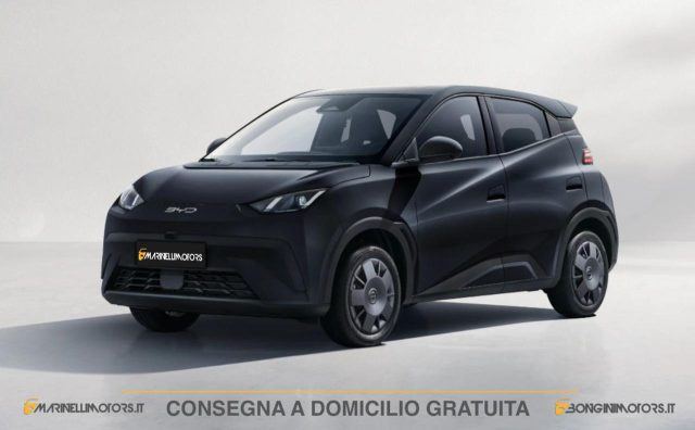 BYD Dolphin Surf usata, con ABS