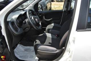 FIAT Panda usata, con Chiusura centralizzata