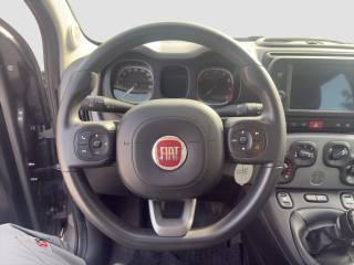 FIAT Panda usata 11