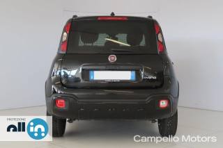 FIAT Panda usata 3