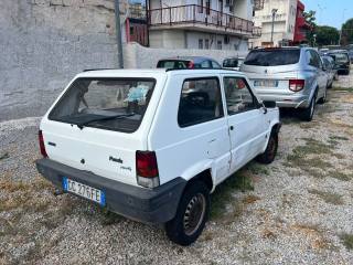 FIAT Panda usata 3