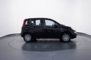 FIAT New Panda usata, con Climatizzatore