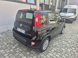 FIAT Panda usata, con Airbag laterali